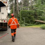 Sur le chemin Hemming, les microrafales ont déraciné un arbre d'une centaine de pieds, qui s'est abattu en travers de l'entrée d'une résidence @ Crédit photo Eric Beaupré Vingt55 Tous droits réservé (1)