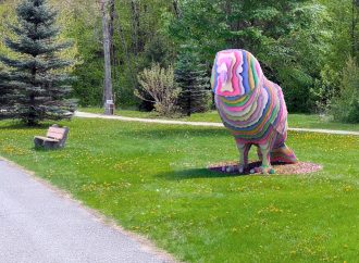 La Ville dévoile l&rsquo;œuvre d&rsquo;art permanente qui prendra place au Boisé-de-la-Marconi