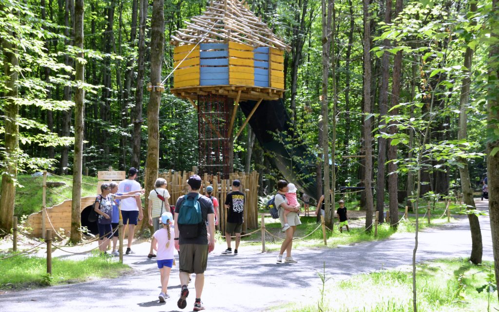 Bois des Lutins @ Crédit photo Eric Beaupré Vingt55 Tous droits réservés -014