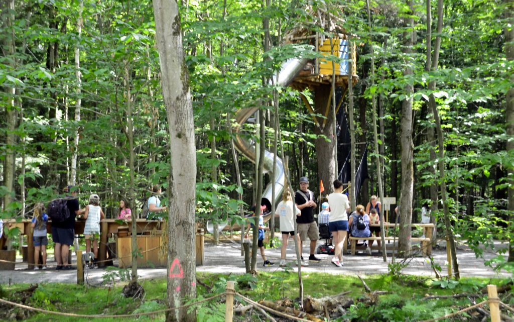 Bois des Lutins @ Crédit photo Eric Beaupré Vingt55 Tous droits réservés -015