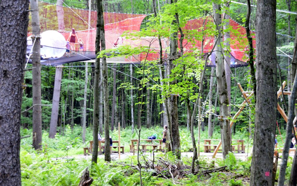 Bois des Lutins @ Crédit photo Eric Beaupré Vingt55 Tous droits réservés -018