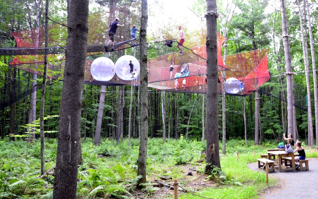 Bois des Lutins @ Crédit photo Eric Beaupré Vingt55 Tous droits réservés -019