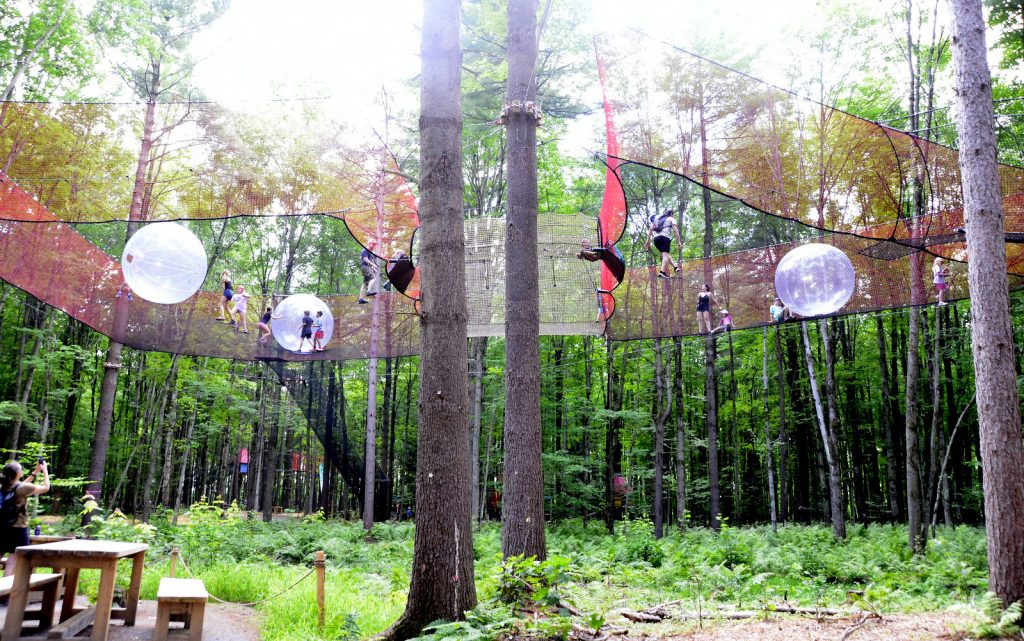 Bois des Lutins @ Crédit photo Eric Beaupré Vingt55 Tous droits réservés -021