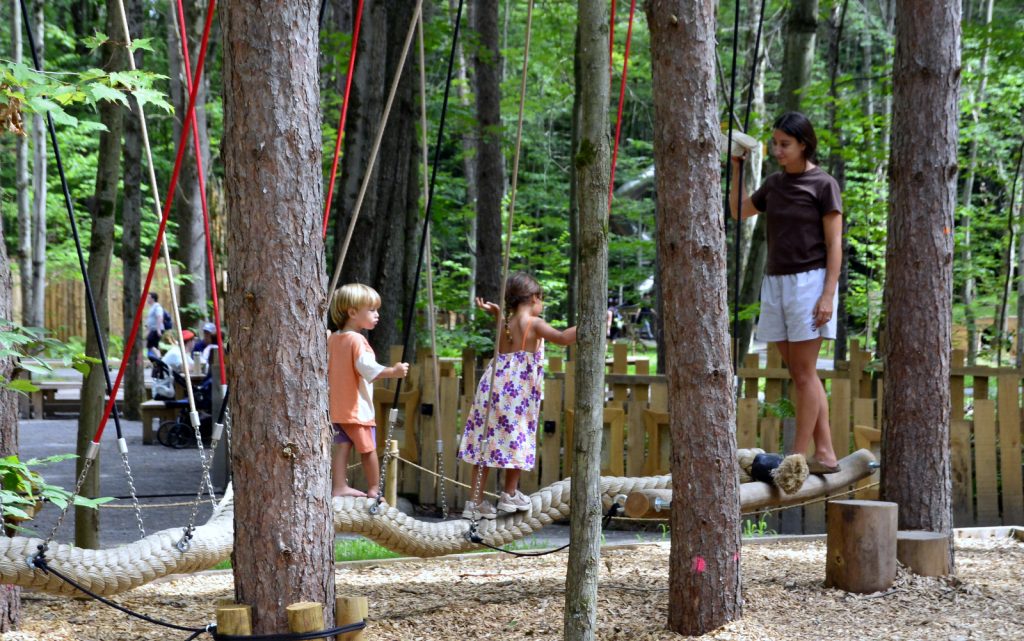 Bois des Lutins @ Crédit photo Eric Beaupré Vingt55 Tous droits réservés -029