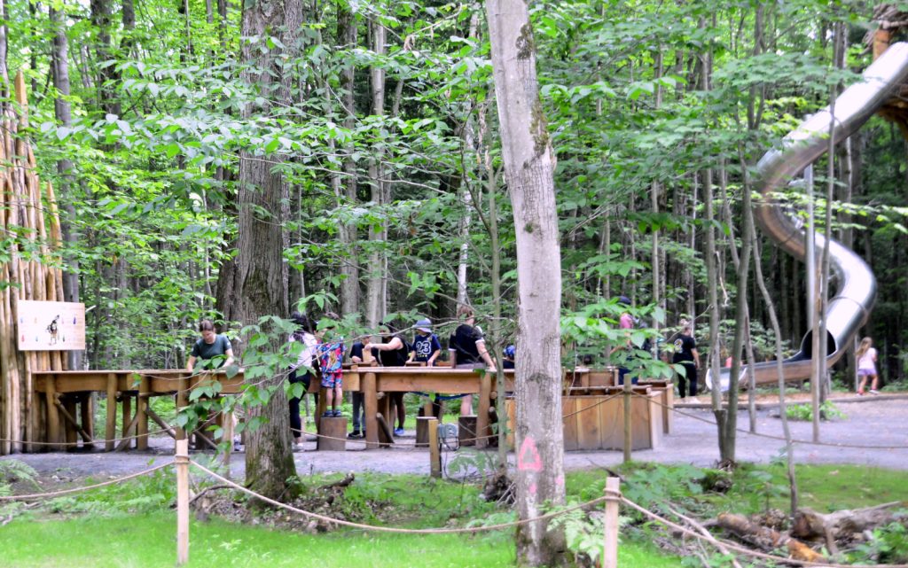 Bois des Lutins @ Crédit photo Eric Beaupré Vingt55 Tous droits réservés -034