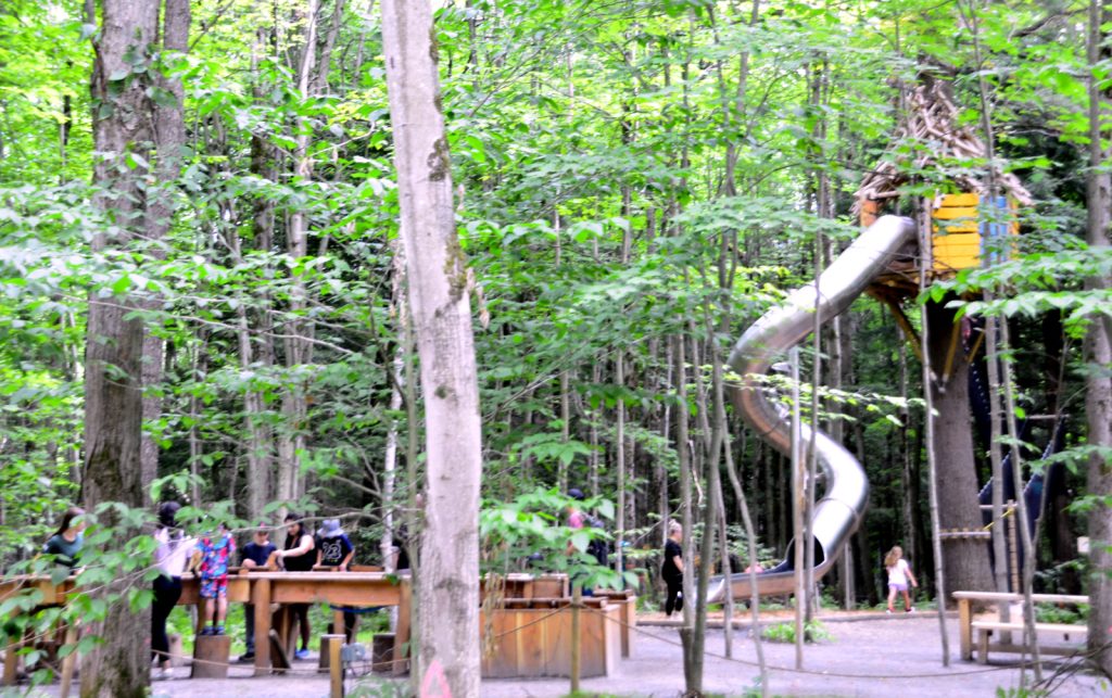 Bois des Lutins @ Crédit photo Eric Beaupré Vingt55 Tous droits réservés -035